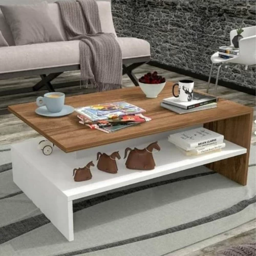 Elegant White and Brown Coffee Table-50x100x47-CFTW-033