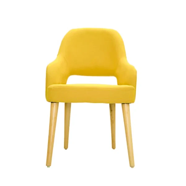 Velvet Dining Chair – Beech & Counter Wood | Antika Homz DNC-013